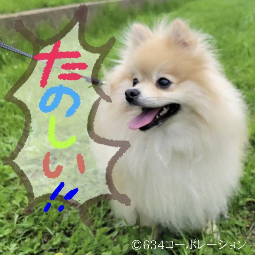 はるさめ太郎